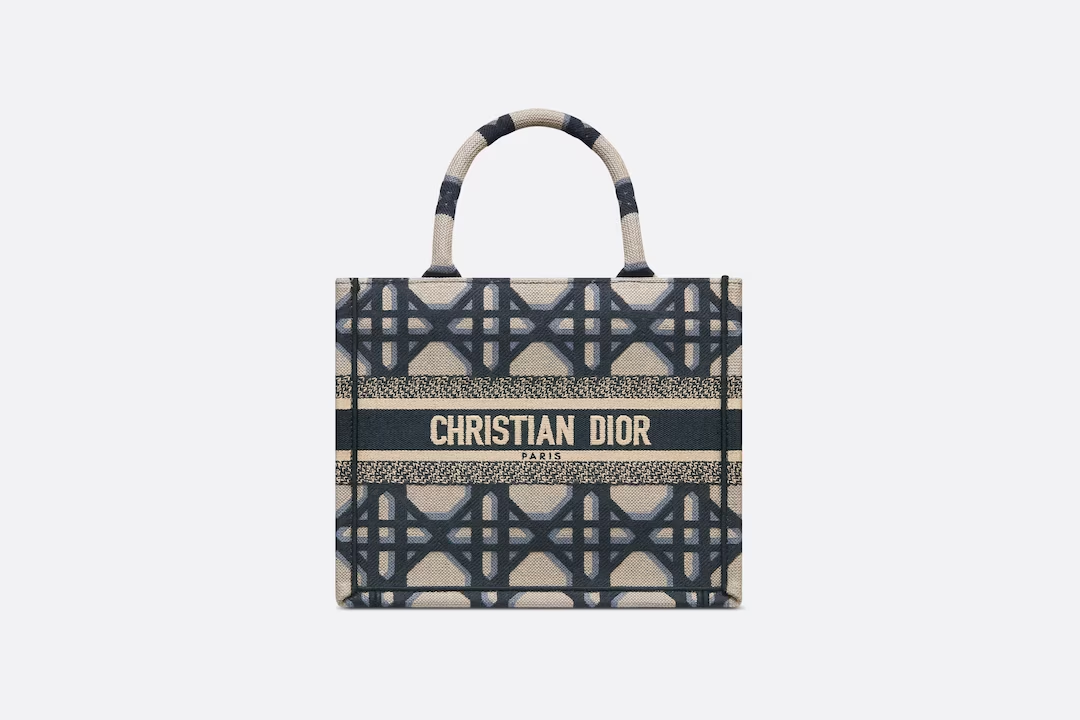 SMALL DIOR BOOK TOTE